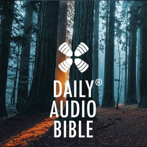 1 Year Daily Audio Bible DAILY AUDIO BIBLE