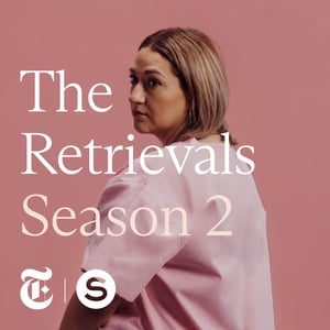 The Retrievals